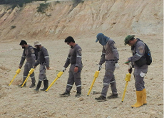 uxo geophysical survey